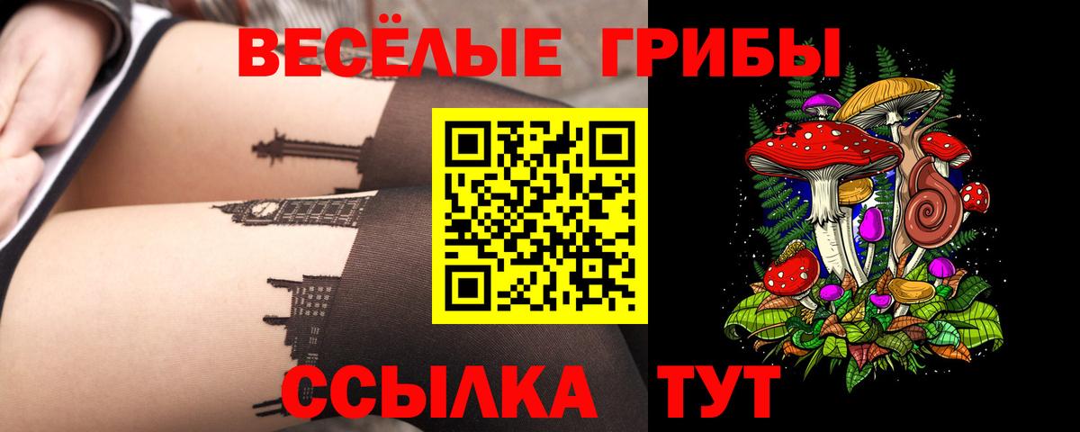 Галлюциногенные грибы мухоморы Торжок
