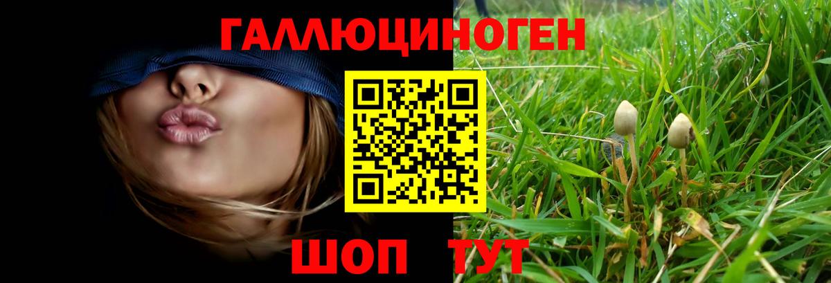 Галлюциногенные грибы ЛСД  Вход с VPN  Торжок  Псилоцибиновые грибы Cubensis 